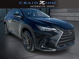 Used 2024 Lexus NX SUV