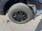 Used 2023 Ford F-150 Truck
