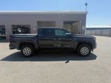 Used 2024 Toyota Tacoma Truck