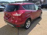 Used 2014 Ford Escape SUV