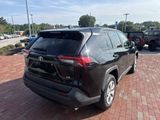 Used 2023 Toyota RAV4 SUV