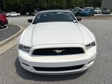 Used 2013 Ford Mustang Convertible