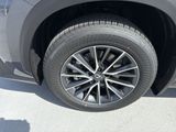 Used 2025 Lexus NX SUV