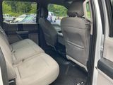 Used 2016 Ford F-150 Truck