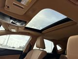 Used 2025 Lexus NX SUV