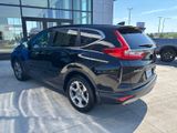 Used 2019 Honda CR-V SUV