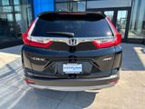Used 2019 Honda CR-V SUV
