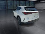 Used 2025 Lexus NX SUV