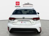 Used 2025 Toyota Corolla Sedan