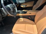 Used 2025 Lexus NX SUV