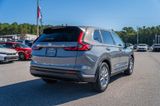 New 2026 Honda CR-V SUV