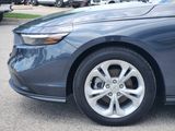 Used 2025 Honda Accord Sedan