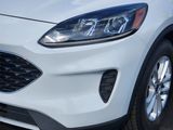 Used 2020 Ford Escape SUV