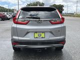 Used 2019 Honda CR-V SUV