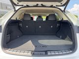 Used 2024 Lexus NX SUV