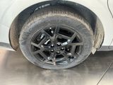 New 2026 Kia Carnival MPV Hybrid Van