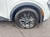 Used 2023 Kia Sportage SUV