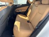 Used 2025 Lexus NX SUV