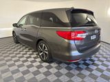 Used 2019 Honda Odyssey Van
