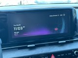 Used 2023 Kia Carnival Van
