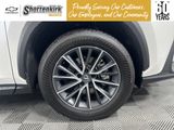 Used 2025 Lexus NX SUV