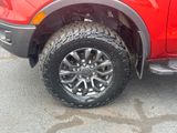 Used 2019 Ford Ranger Truck