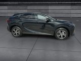 Used 2025 Lexus RX SUV