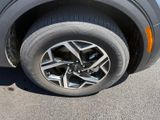 Used 2025 Kia Sportage SUV