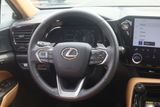 Used 2022 Lexus NX SUV