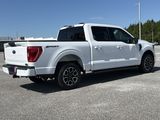 Used 2023 Ford F-150 Truck