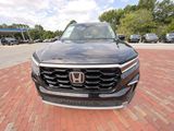 Used 2025 Honda Pilot SUV