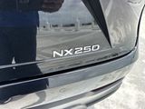 Used 2025 Lexus NX SUV