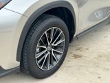 Used 2025 Lexus NX SUV