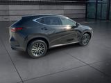 Used 2024 Lexus NX SUV
