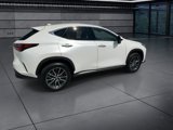 Used 2025 Lexus NX SUV