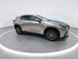 Used 2025 Lexus NX SUV