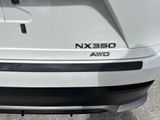 Used 2024 Lexus NX SUV