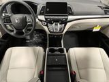 New 2026 Honda Odyssey Van