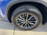 Used 2025 Lexus NX SUV