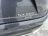 Used 2022 Lexus NX SUV