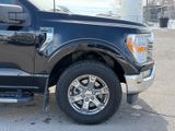 Used 2021 Ford F-150 Truck