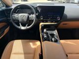 Used 2025 Lexus NX SUV