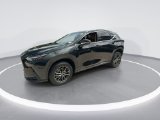 Used 2024 Lexus NX SUV