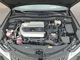 Used 2024 Lexus UX SUV