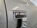Used 2024 Ford F-150 Truck