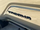 Used 2024 Toyota Tacoma Truck