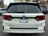 New 2026 Honda Odyssey Van