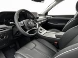 Palisade XRT