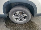 Used 2024 Honda Pilot SUV