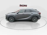 Used 2023 Lexus RX SUV